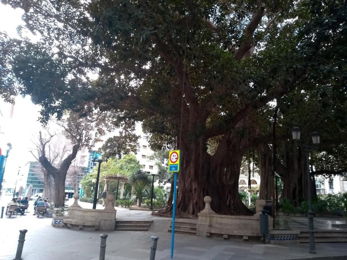 La Luna De Alicante Ngoại thất bức ảnh